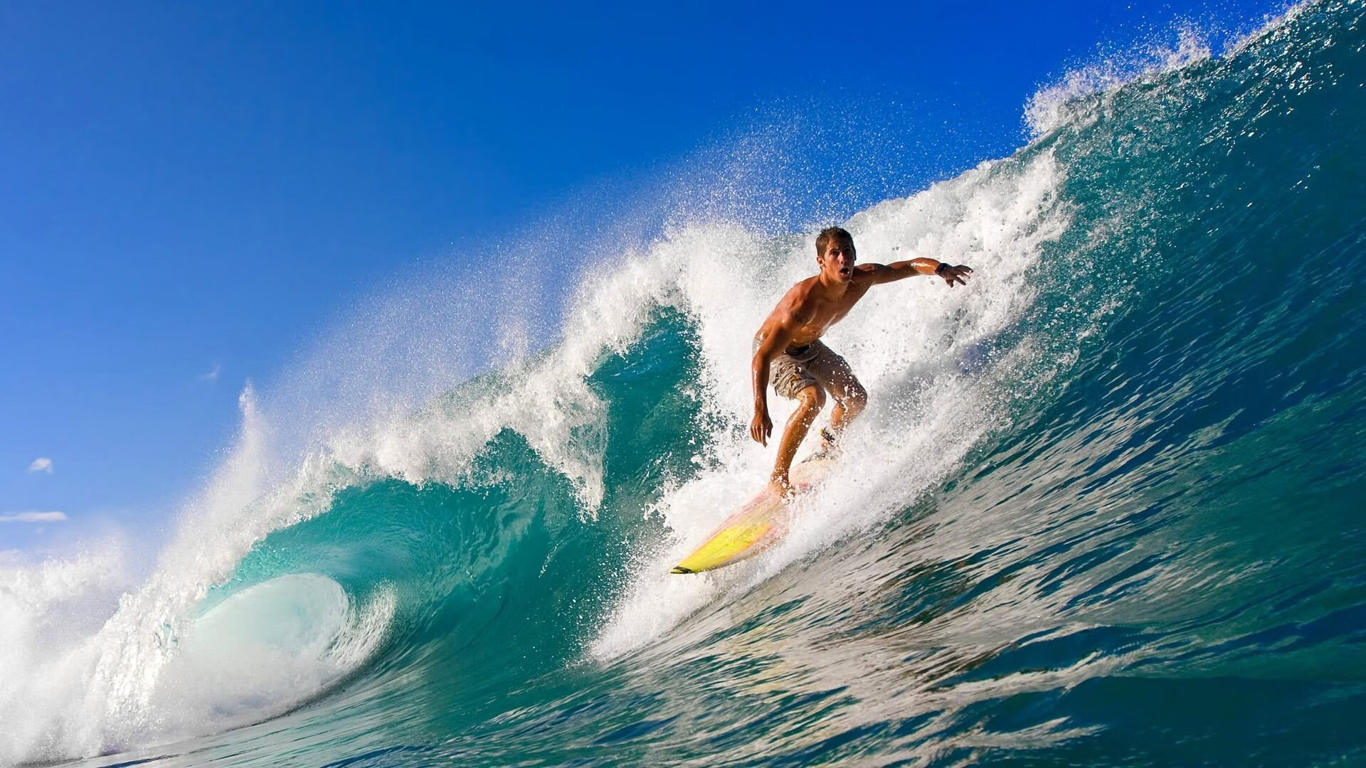 开云体育全站app下载优惠-万乐天完美入水赢得喝彩，万乐游乐